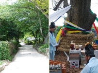 부안문화의 밥과꽃51-입암마을 내소사당산 찾아가는 길 1