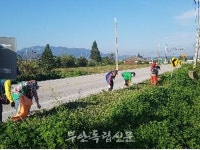 부안 행안면, 신기천 및 국도 23호선 하천하구 정화활동 가져