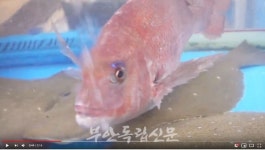 부안상설시장 설명절 대잔치