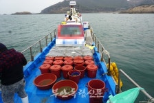 부안해경, 20일 수산업법 위반 선박 검거