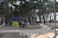 고사포 송림에 조성된 자동차야영장, 16일 개장