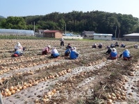 변산면 산기 경로당, 공동 작업 활성화
