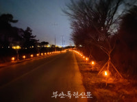 부안 계화면, 주 진입로에 횃불등 밝혀