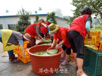 부안 보안면, 홀몸 어르신을 위한 사랑의 물김치 담다