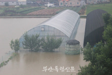 집중호우, 부안이 잠겼다.