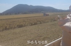 [맨땅농부 임대봉의 농사일기 - 26] 변산에 오길 참 잘했다
