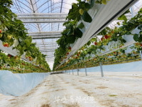 부안군농업기술센터, 스마트농업 테스트베드 교육장 본격 가동