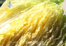 [경제탐방] 변산 유기농 공동체 산들바다 영농조합 방문기 오늘은 유기농 배추 절임 하는 날