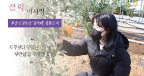 [클릭 이사람] 주산면 귤농장 귤까네 김현진 씨