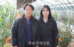 [클릭 이사람] 주산면 귤농장 귤까네 김현진 씨