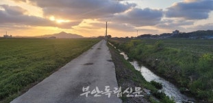 행안면 신기천 하천정비사업 본 궤도 올라…농지편입 반대 의견도