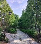 콘크리트 포장한 부안 성황산 산책로, 알고보니 문화재 가치 큰 성벽…걷어내자 요구도