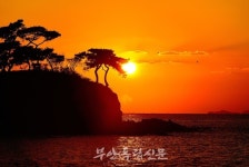 노을이 내려앉는 변산면 도청리 솔섬…전북도 기념물로 지정 앞둬