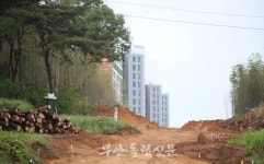 협의 안 돼 통행도 못 할 도로에 7억 들여…부안군, 원래 계획된 도로
