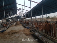 농가엔 농기계, 축사엔 분뇨처리 장비 지원…얼마나 공평한가?