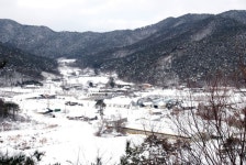 [재 너머 사래 긴 밭-32]변산 호랭이