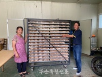 대한노인회 부안군지회, 상서면 우슬재황토촌으로부터 사랑 듬뿍 담긴 유정란 기부 받아