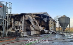 상서 양계장서 화재…육계 4만 마리 죽어
