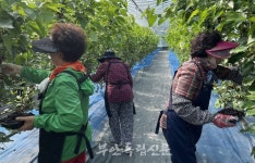 부안군 치매안심센터, 2023 함께하는 치유활동 프로그램 진행