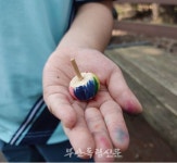 [유아숲 지도사 전푸르나의 서림공원 숲이야기-5] 서림공원에 닭다리 치킨과 새우튀김 먹으러 오세요