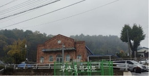 [유아숲 지도사 전푸르나의 서림공원 숲이야기-12] 은행나무에 대해 쓰려고 했지만