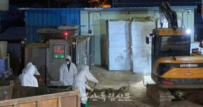 부안도 뚫렸다…오리농장 2곳서 고병원성 조류인플루엔자 확진
