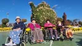어르신들에게 가을의 추억을 선사하다…국화축제 찾은 송산효도마을