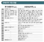 서울 전역 투기과열지구… 전국 대부분이 규제지역으로 묶여