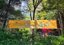 분당 정자일로 5개 단지, 통합 재건축 연대출범