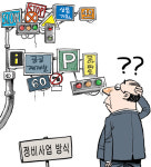 공공재개발에 신통기획·모아타운… 주민 대혼란