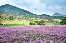 서울경제 골프매거진 2020 한국 美 골프장- 엘리시안 강촌 컨트리클럽