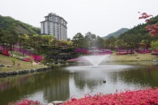 서울경제 골프매거진 2020 한국 美 골프장- 엘리시안 강촌 컨트리클럽