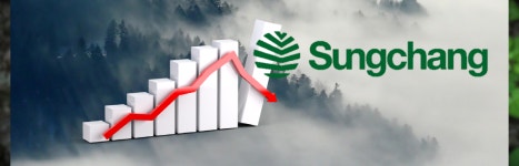 [이지 돋보기] 목재 제조 외길 103년 성창기업, 수익성 악화 골머리…업황 부진‧경쟁 심화 등 이중고