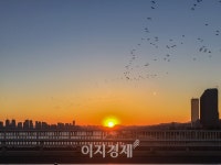 한화 아쿠아플라넷, 신년 첫날, 아쿠아플라넷서 소원 빌어요!