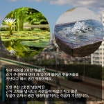 [카드뉴스] 학여울·굽은다리·애오개 이런 의미였어?…지하철 역명 숨겨진 속뜻