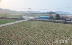 [이지경제의 한 컷] 봄 찾아, 코로나19 피해 남으로 가요