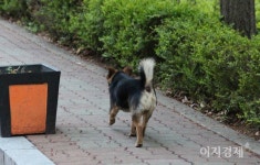 [이지경제의 포토에세이] 어느 쪽이 행복할까?