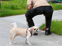 [이지경제의 포토에세이] 어느 쪽이 행복할까?
