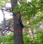 [이지경제의 포토에세이] 어느 쪽이 행복할까?
