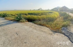 [이지경제의 포토에세이] 흙이 사라진 시대(?)