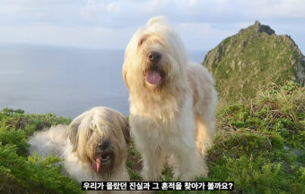 김남길-서경덕, '독도 지킴이' 삽살개 국내외에 알린다
