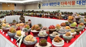 희귀ㆍ명품 다육이 한 자리에 다육식물 대전