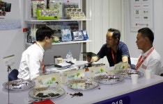 [현장] SIAL China 2019 중국 상하이 국제식품박람회 개막