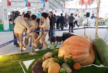 씨앗, 미래를 바꾸다 2019 국제종자박람회 개막, 18일까지 개최