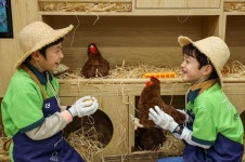 풀무원, 부산에 동물복지 달걀 농장 체험관