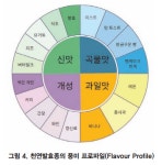 천연발효 미생물의 구성과 발효 산물