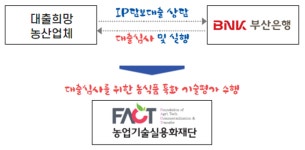 기술기반 농산업체, 담보 없이 대출 지원