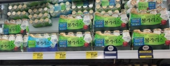 남양유업 불가리스 '역풍' 세종공장 2개월 가동 중단되나?