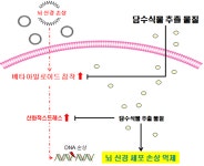 광동제약, 담수식물 활용 노인성 뇌질환 개선 건강기능식품 개발 추진