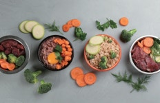 [이철 교수의 스마트푸드 비즈] 반려동물 생식 수제 간식시장에서 축산물 부산물 활용